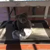 Michael Milillo - @michael.worlds - TikTok