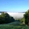 Michael Militello945 - @michaelmilitello9 - TikTok