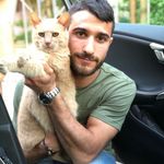 Michael Militello - @m_di_michael - Instagram