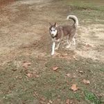 Michael Millner - @michaelmillnersr - Instagram