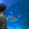 Mike ⭐️ - @michael.milot - TikTok