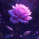 Michael Minelli - @michael685642 - Instagram