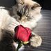 Micha Minette - Facebook