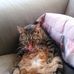 Michael Minette - Facebook