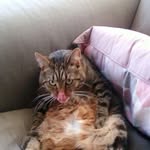 Michael Minette - @michael.minette.3 - Instagram
