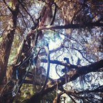 Michael Minkoff - @michaelminkoff - Instagram