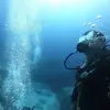 Michael Minos - @michaelminos - TikTok