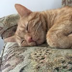 Michael Minster - @michaelminster - Instagram