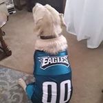 Michael Miskell - @michael.miskell.71 - Instagram