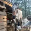 Michael Mitchem - @michael.mitchem - TikTok