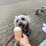 Michael Mittendorff - @michaelmittendorff - Instagram