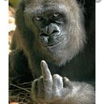 Michael Moers - @michaelstrunz1978 - Instagram
