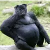Michael Molitor - @michael.molitor1 - TikTok
