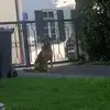 Michael Molitor - @michael.molitor - TikTok