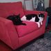 Michael Molnar - Facebook