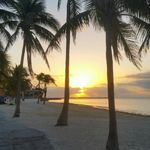 Michael Momany - @momanymichael - Instagram