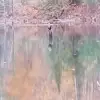 Michael Mondrzejewski - @michael.mondrzeje - TikTok