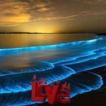 Michael Monell - @big_dog_4200 - Instagram