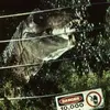 michaelmongiello3 - @jurassicparkexpert - TikTok