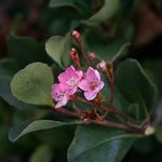 Michael Monteith - @michaelmonteithphotography - Instagram