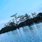 Michael Montesi - @mmontesi - Instagram