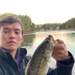 Michael Morris - @michaelmorris123 - Instagram