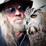 Michael Morrow - @michaelmorrow.theculprits - Instagram