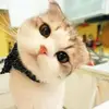 Michael_Moussa - @Michael_Moussa - TikTok