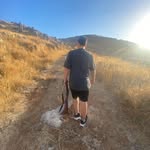 Michael moussa - @michaelmoussa38 - Instagram