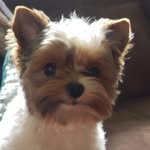 Michael Mower - @michael.mower.aka_moose - Instagram