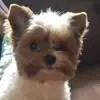 michaelmower2 - @michael.mower4 - TikTok