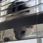 Jeremy Michael Mulherin - @jeremy.mulherin - Instagram