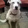 michael mulherin - @michaelmulherin - TikTok