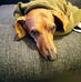 Michael Mumm - Facebook