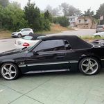 Michael Munayer - @munayermichael - Instagram