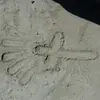 michael.munger - @michael.munger - TikTok