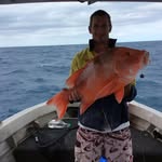 Michael Munro - @michael.munro.58 - Instagram
