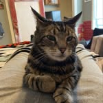 Michael Muoio - @muoio836 - Instagram