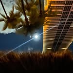 Michael Murch - @murchroomfarms_ - Instagram