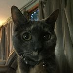 Michael Nagorski - @nagorski.michael - Instagram