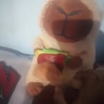 Michael naim sanches - @michaelnaimsanches - Instagram
