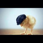 Michael Najem - @najem.michael - Instagram