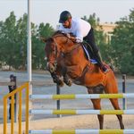 michel abou najem - @michel_abounajem - Instagram