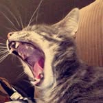 Michael Nanney - @m.nanney - Instagram