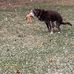 Mike Napieralski - Facebook
