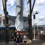 Michael Napierkowski - @nap528 - Instagram