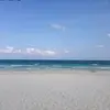 michaelnardullo - @michaelnardullo - TikTok