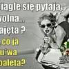 Natalieee - @natalieemichael - TikTok