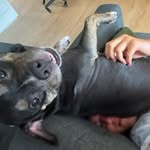Michael Nations - @leviauren - Instagram