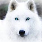 Michael Nazari - @michael.nazari - Instagram